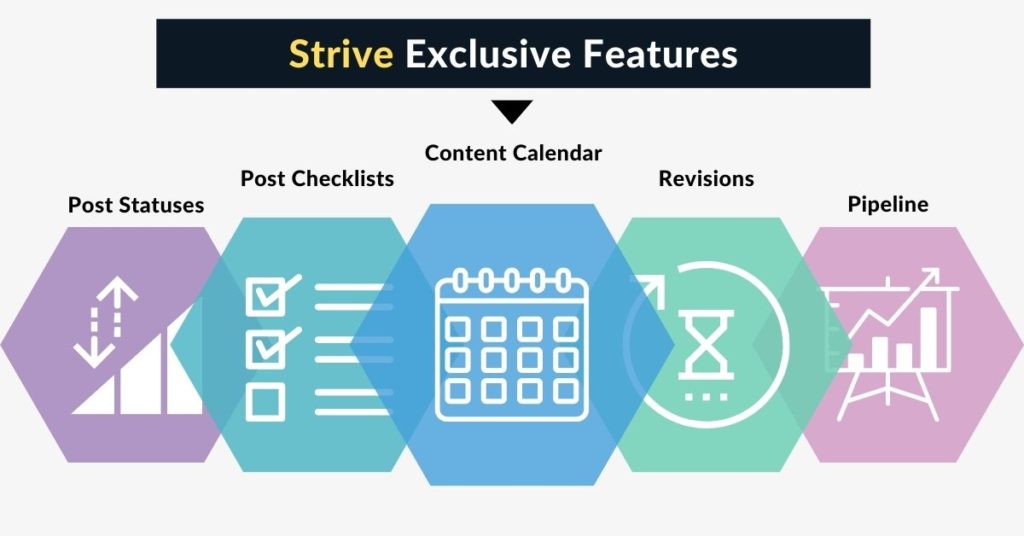 Strive Exclusive features