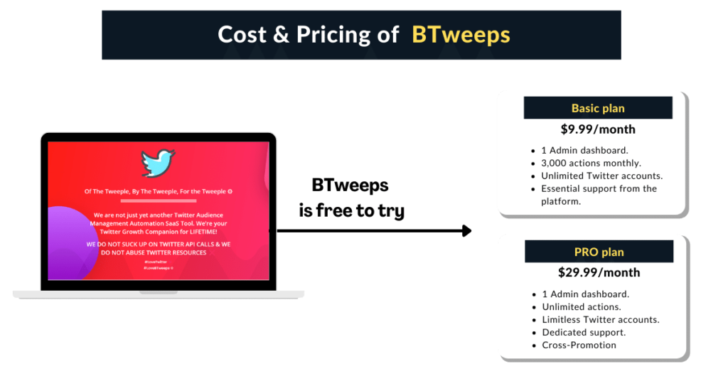 Pricing Plans of BTweeps