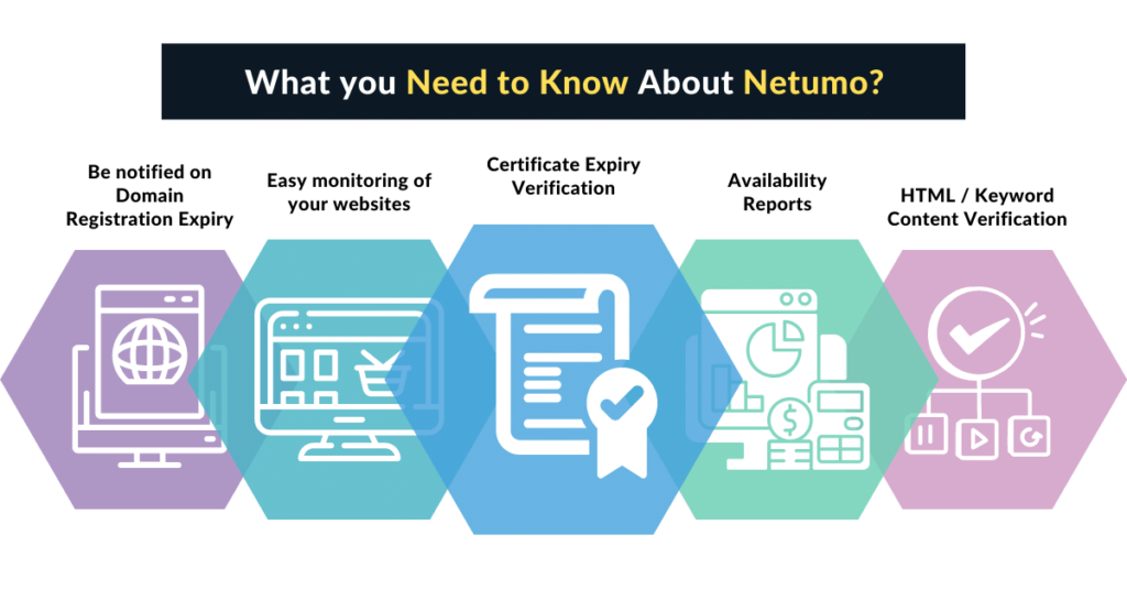 What to Know About Netumo