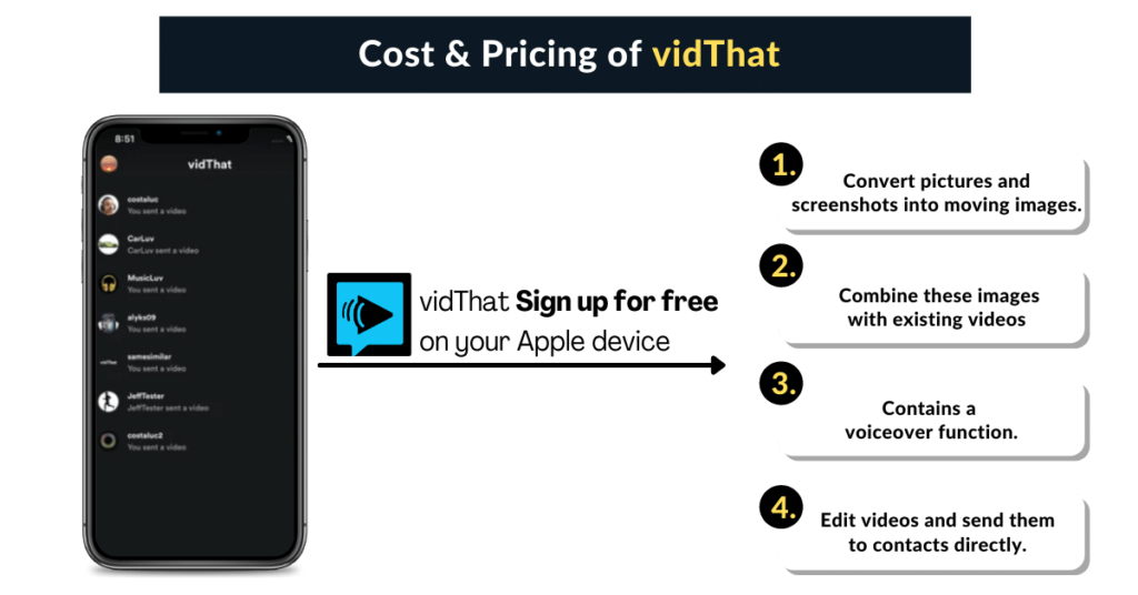 Pricing of vidThat