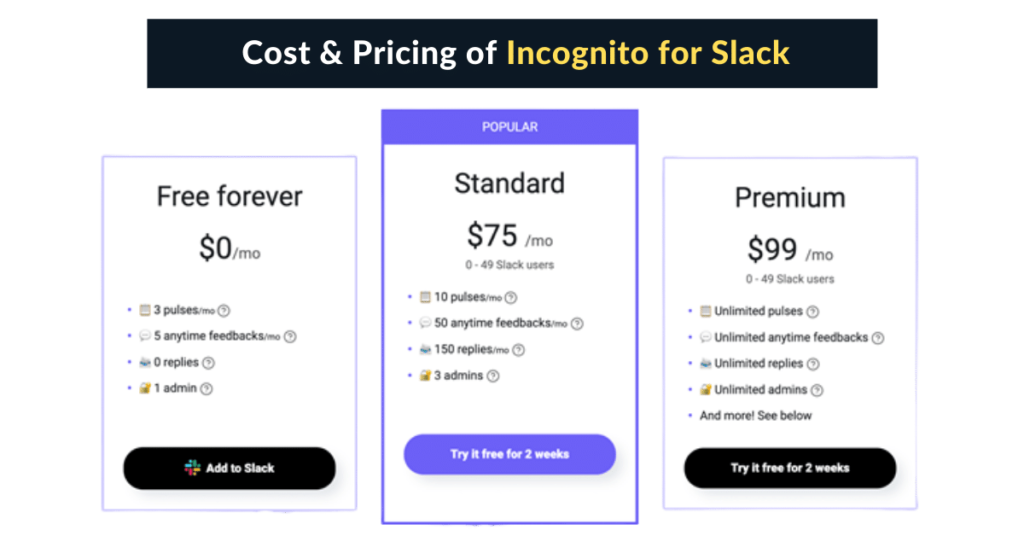 Pricing of Incognito for Slack