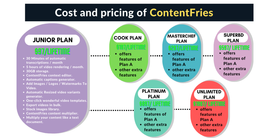 Cost and Pricing of content fries