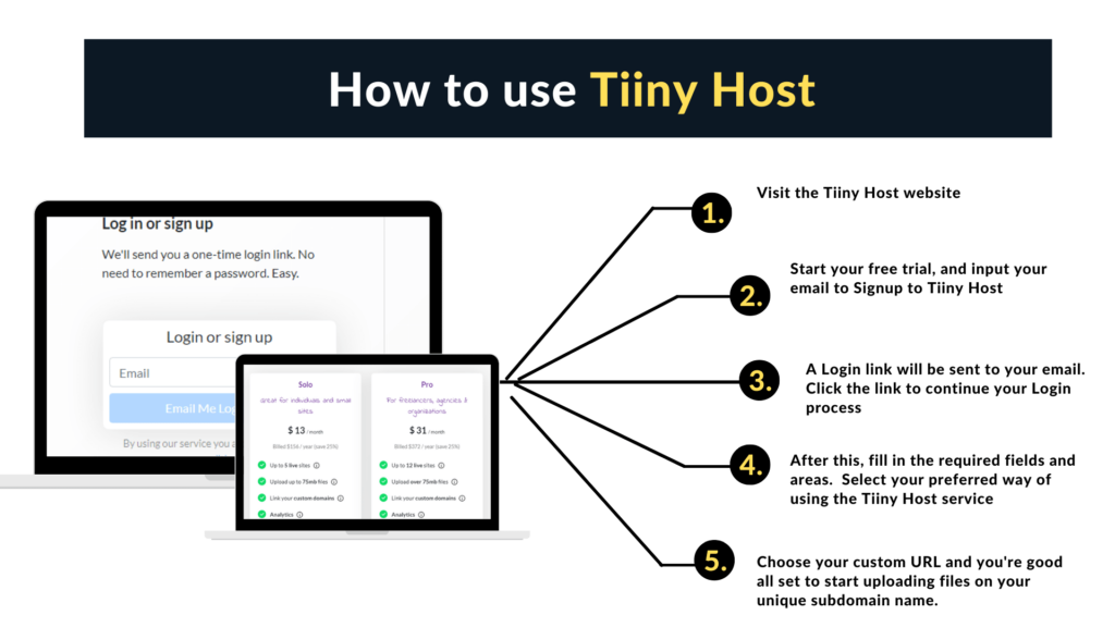 How to use Tiiny Host