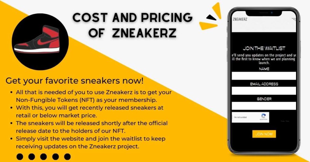 Pricing Zneakerz