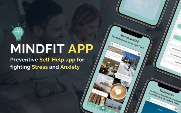 Mindfit Review 2021