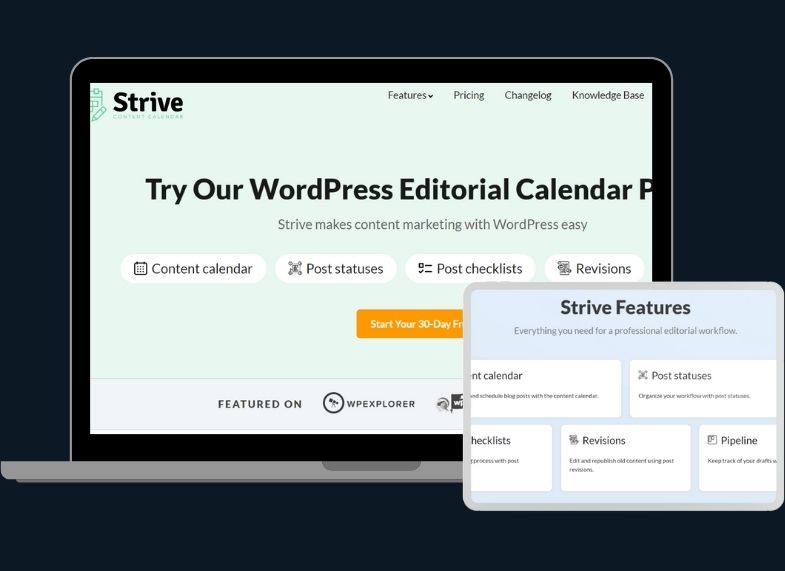 Strive review_TheWebAppMarket