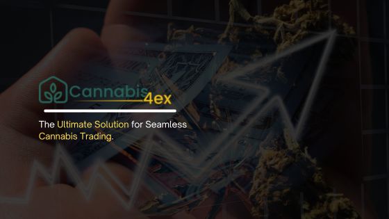 Cannabis4ex Feature image